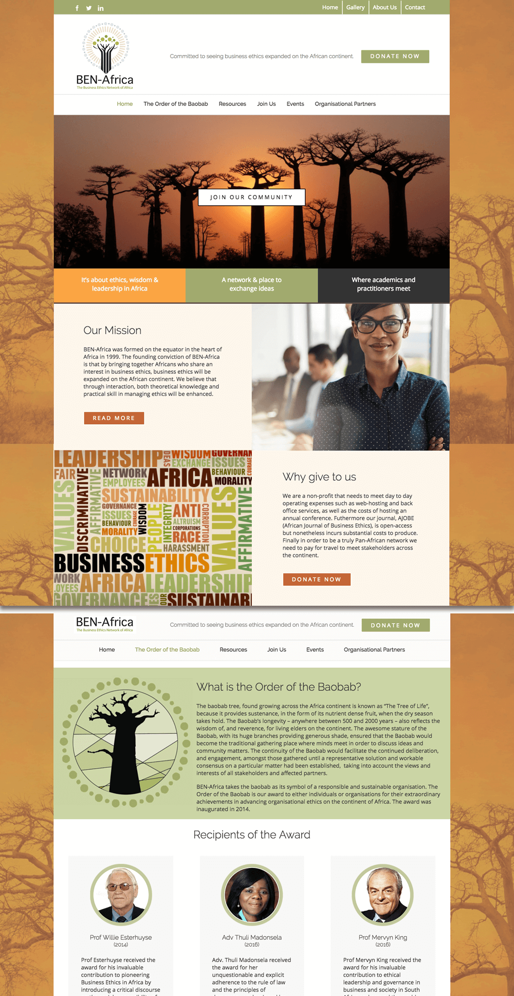 BEN-Africa website